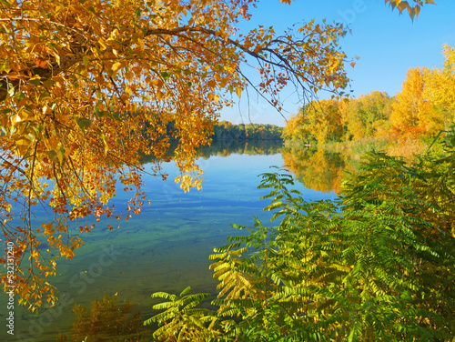 Yellow  red and green autumn forest  river and blue sky. Autumn reflections. Colorful autumn tree.  outdoors