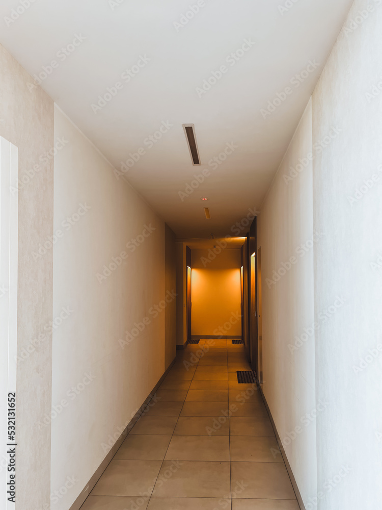 Hall of a modern flat apartment house. Entrance hall in a contemporary apartment, corridor, flat.