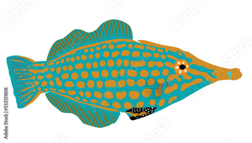 Ocean fish Oxymonacanthus longirostris, Orange spotted filefish, is a filefish in the family Monacanthidae found on coral reefs in the Indo-Pacific Oceans. photo