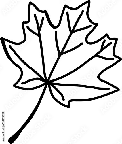 simplicity maple leaf freehand drawing flat design.