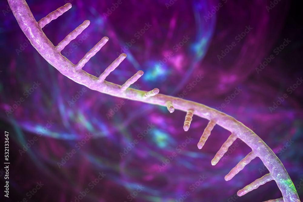 Molecule of mRNA, 3D illustration - obrazy, fototapety, plakaty 