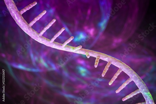 Molecule of mRNA, 3D illustration photo