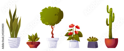 Potted flowers set isolated on white background. Collection of cartoon plants for home decoration. Blooming anthurium, green ficus tree, exotic cactus, succulent and sansevieria. Vector illustration