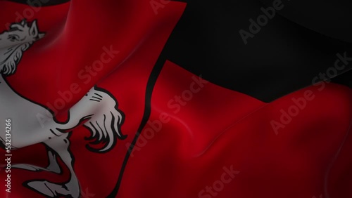 4k Video Slow Motion Flagge Niedersachsen, Prores 4444