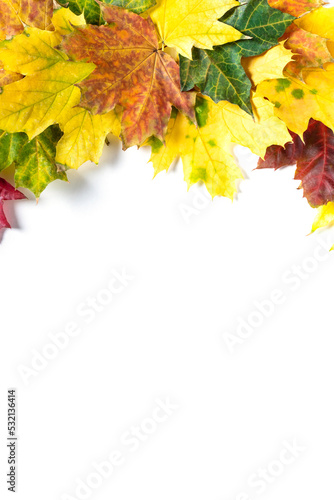 Border of Autumn bright colorful maple leaves on white. Top view with copy space