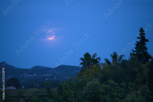 Beautiful moon in the dusk. Landscape format. Mountains and palms. Bushes and trees. Moon behind clouds.  © Oksana