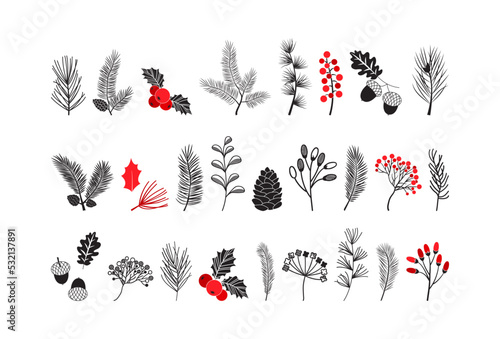 Christmas vector pine cone and leaves, plant, branch spruce and fir, evergreen icon, winter tree, holly berry, mistletoe, acorn isolated on white background. Xmas botanical black and red illustration