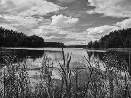 Wallpaper Mural Nature view in black and white. Strupino Lake, Poland. Torontodigital.ca