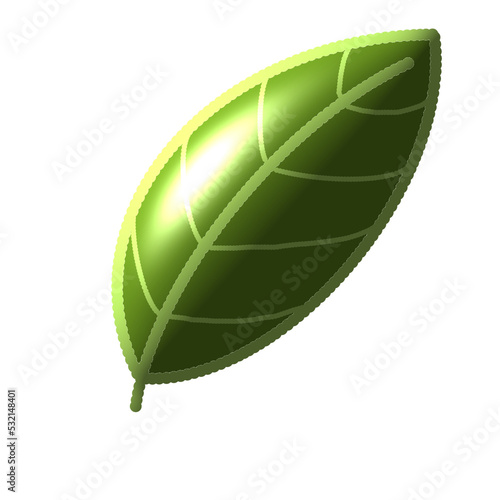green leaf isolated on white