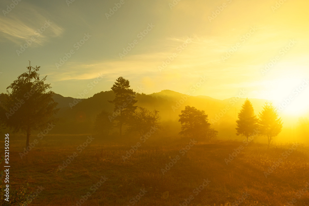 Beautiful sunrise in the mountains, coniferous trees, and fog. Ukraine. The Carpathians. Travels. Rest in nature. Nature.