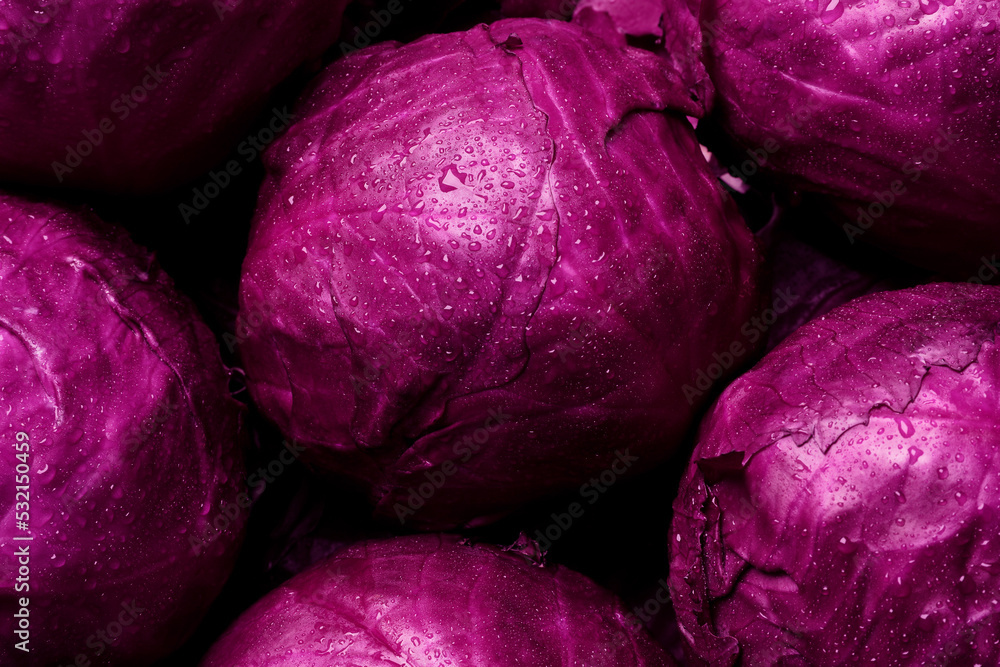 Many fresh ripe red cabbages as background