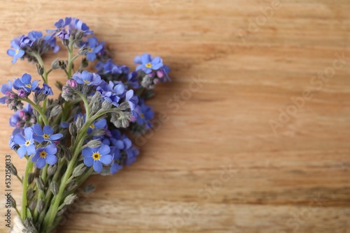 Beautiful blue forget-me-not flowers on wooden table, top view. Space for text