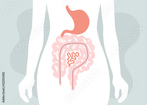 Human microbiome illustration with intestines and bacteria Vector picture. Gastroenterologist. Bifidobacteria, lactobacilli. Lactic acid bacteria.