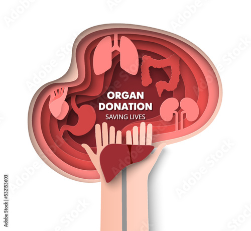 Organ donation 3d vector saving life concept