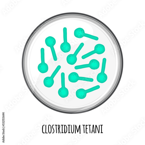 The human microbiome of clostridium tetani in a petri dish. Vector image. Bifidobacteria, lactobacilli. Lactic acid bacteria. Illustration in a flat style.