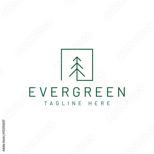 modern pine tree logo design