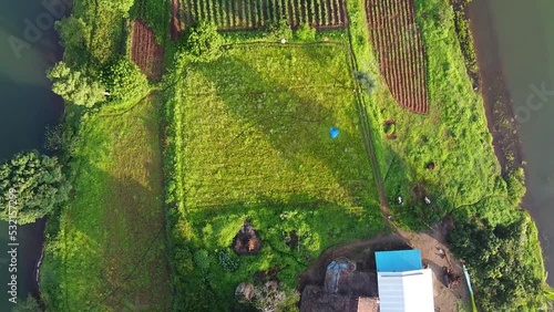 Aerial View Of Farm Lot In Rural Trimbakeshwar, Western Ghats Of Maharashtra In India. drone top-down photo