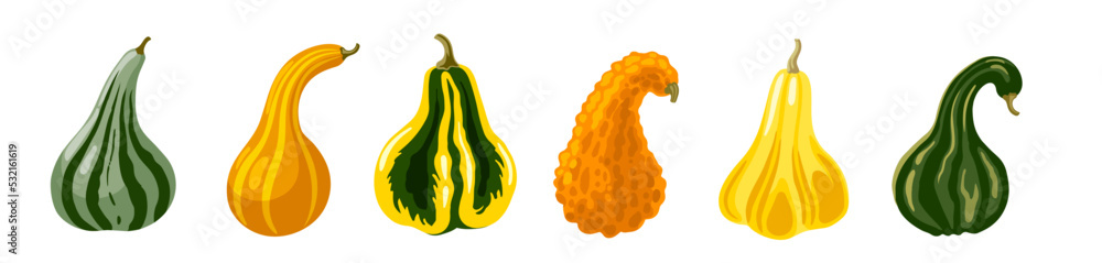 Photography Striped squash set