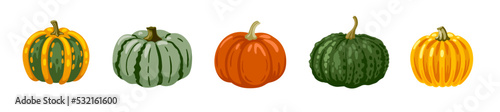 Cute hand drawn pumpkin of various colors. Striped gourd collection. Set of vector cartoon illustration.