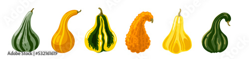 Striped squash set. Hand drawn cartoon vector illustration. Decorative gourd collection.