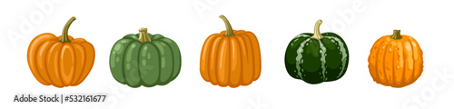 Cute hand drawn pumpkin of various colors. Striped gourd collection. Set of vector cartoon illustration.