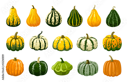 Gourd, pumpkin, squash hand drawn cartoon illustration. Decorative vegetables for halloween and thanksgiving holiday. Isolated vector elements.