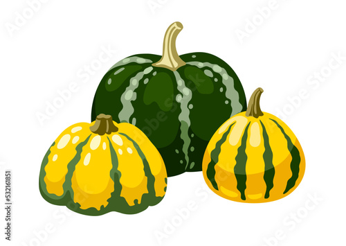 Cute various hand drawn pumpkins and gourd. Autumn composition, horizontal still life. Isolated vector illustration.