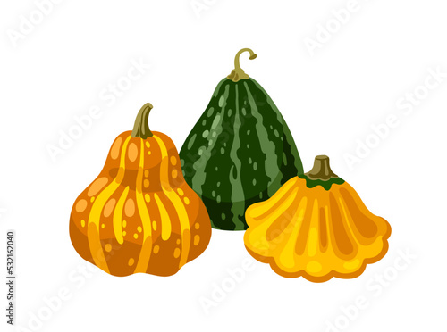 Striped spotted pumpkins, gourds, pattypan and squash of different shape and colors. Hand drawn vector illustration for postcard, invitation, banner.