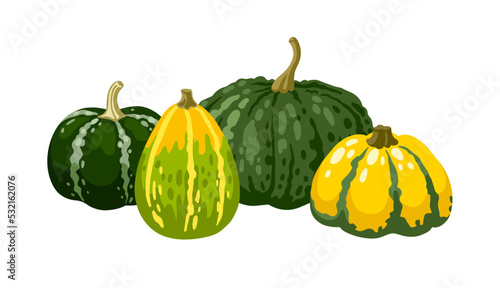 Gourds of different types, shapes and colors. Textured, spotted and striped pumpkins. Hand drawn vector illustration for postcard, invitation, banner.