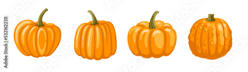 Orange cinderella fairy tale pumpkins. Decorative gourd for halloween, thnaksgiving holiday. Flat cartoon illustration.