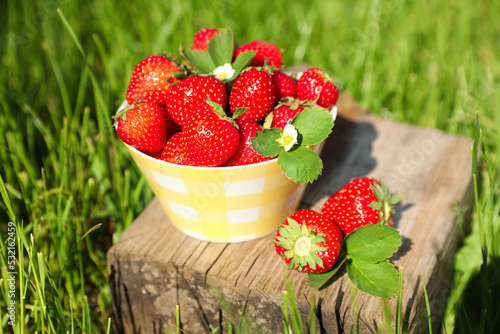 Fototapeta Naklejka Na Ścianę i Meble -  Bowl and ripe strawberries on log outdoors, closeup