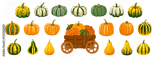 Pumpkin, squash, gourd and pumpkin cart collection. Decoration for farmers market, halloween and thanksgiving. Set of vector hand drawn illustration.