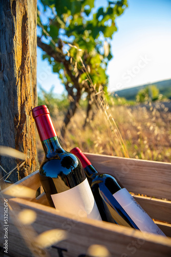 Caisse de bouteille de vin rouge dans les vignes.