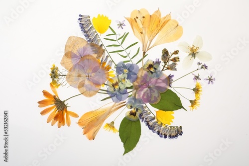 Fototapeta Naklejka Na Ścianę i Meble -  Wild dried meadow flowers on white background, top view
