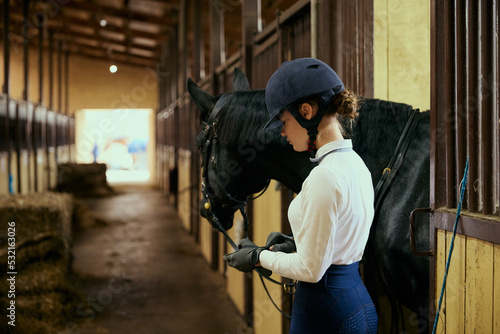 Live portrait of young girl, teen, beginner rider preparing black horse for training. Lifestyle mood. Concept of nature, animal, care, sport