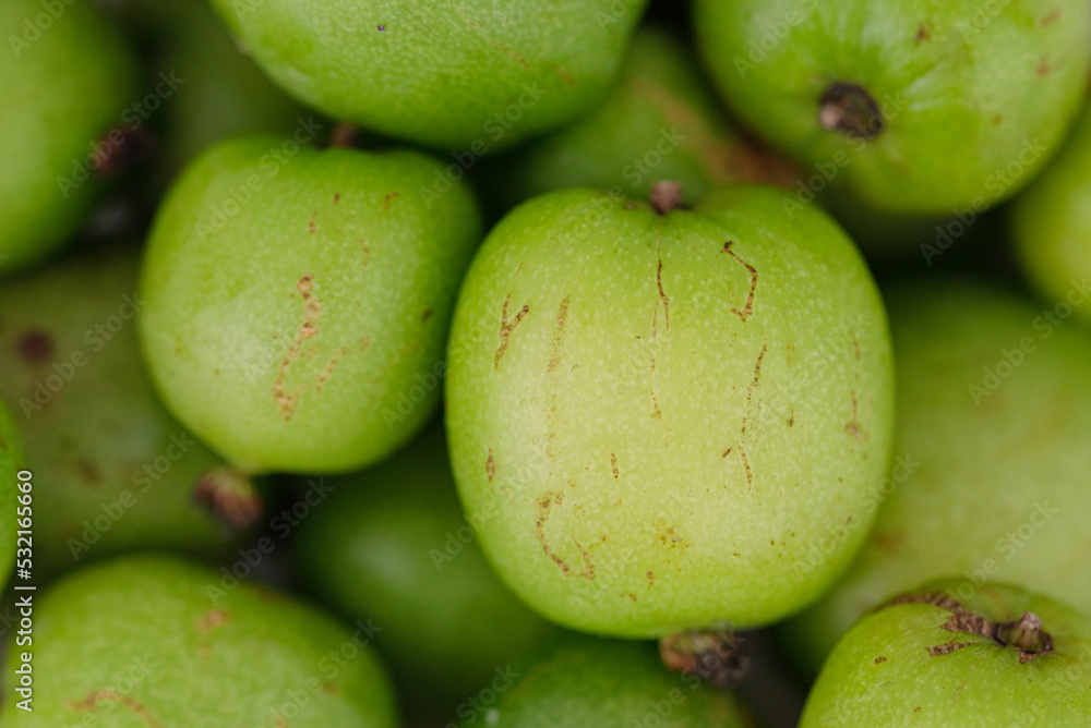 small mini kiwi fruit - Actinidia arguta small mini kiwi fruit - Actinidia arguta