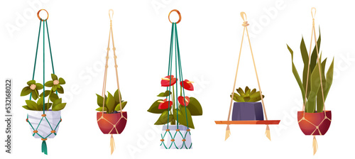 House plants in hanging pots, isolated set of flowers in macrame hangers. Green planters in handmade holders made of rope for home interior decoration on white background, Cartoon vector illustration