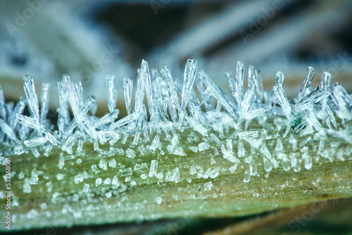 Quadro em tela Ice crystals on a blade of grass in winter
