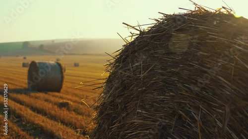 Golden fields with hay bales in the morning. Clear blue sky with bright white sun glare and foggy horizon. Natural landscape. Horizontal shot. High quality 4k footage