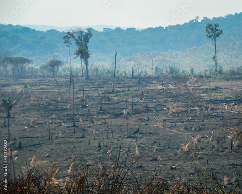 Área desmatada às margens da BR-230, rodovia Transamazônica, sul do Amazonas  photo