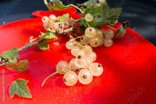 A bunch of white currant berries with leaves on a red plastic plate