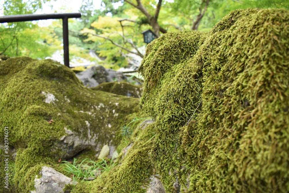 石山寺、苔、参道、お参り 石山寺、苔、参道、お参り