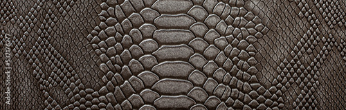 Beautiful dark gray python skin, reptile skin texture, snake skin close-up as a background.