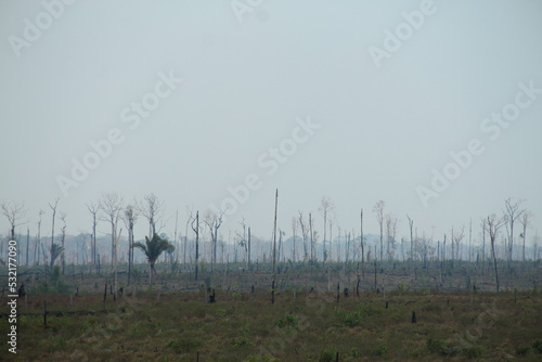 Área de queimada e desmatamento às margens da Br-230, rodovia Transamazonica,no Sul do Amazonas 