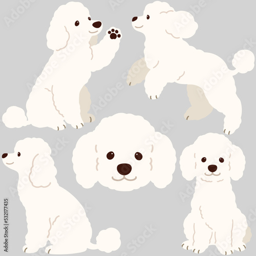 Simple and adorable white colored Poodle dog illustrations flat colored