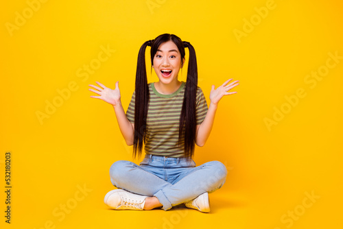 Photo of young adorable cheerful lady with two long tails hairstyle have fun sitting on ground isolated on yellow color background © deagreez