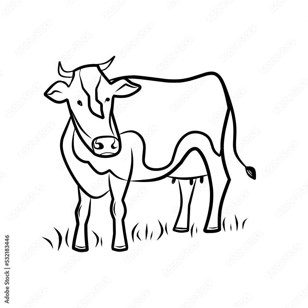 Cow hand draw vector illustration on the grass
