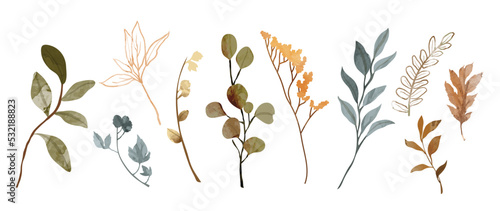 Collection of botanical elements in watercolor. Set of autumn wild flowers, plants, branches, oak leaves, eucalyptus. Hand drawn of fall season foliage vectors for card, print, graphic, decorative.