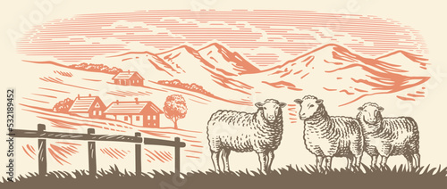 Sheep farm in Alps. Village meadow hand drawn sketch
