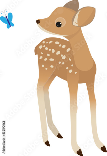 Fawn isolated vector illustration for design